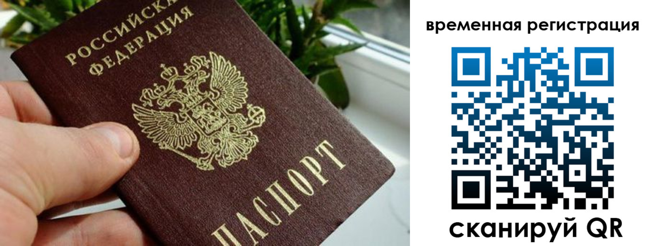 прописка поиск в Астраханской области